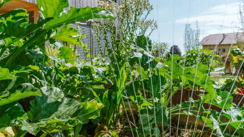 Bewässerungssystem in der Landwirtschaft